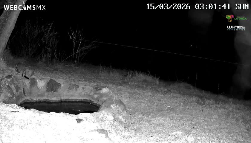 Rancho La Onza. Criadero Cattle Ranch Live Cam - San Luiz de la Paz, Guanajuato, Mexico