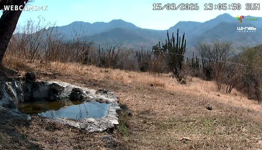 Rancho La Onza. Criadero Cattle Ranch Live Cam - San Luiz de la Paz, Guanajuato, Mexico