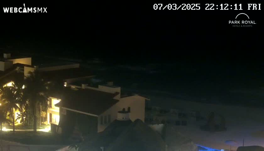 A nighttime view of a beachfront hotel with palm trees and a dark, wavy ocean under a clear sky.