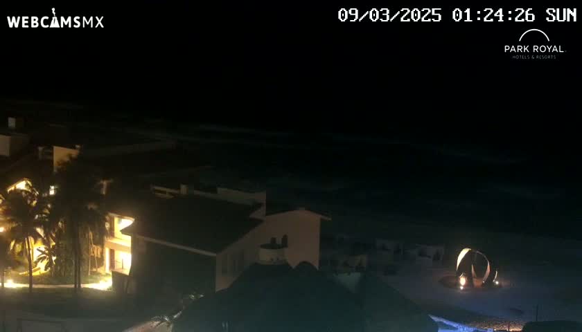 A nighttime view of a coastal resort area, showing lit buildings and palm trees next to a dark ocean under a clear sky.