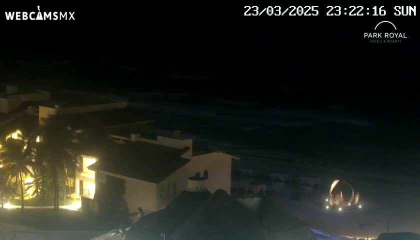 A nighttime view of a beachfront resort with palm trees, illuminated buildings, and dark, wavy water under a clear sky.