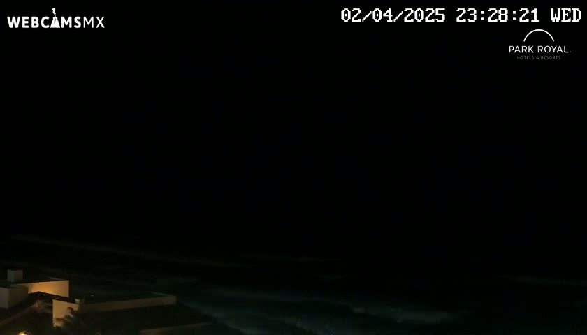 A nighttime view of dark ocean waves lapping against a shoreline with dimly lit buildings.