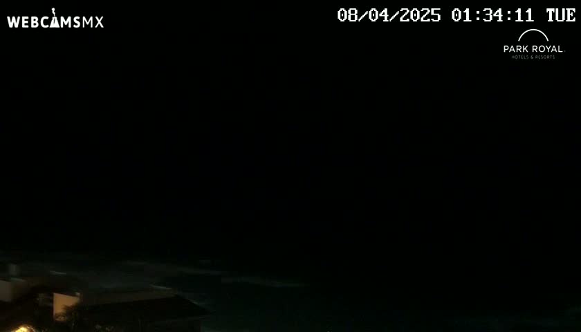 A nighttime view of dark ocean waves lapping a shoreline with dimly lit buildings in the foreground.