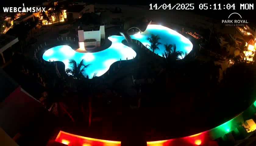 An illuminated, irregularly shaped swimming pool at night, surrounded by dark buildings and palm trees.