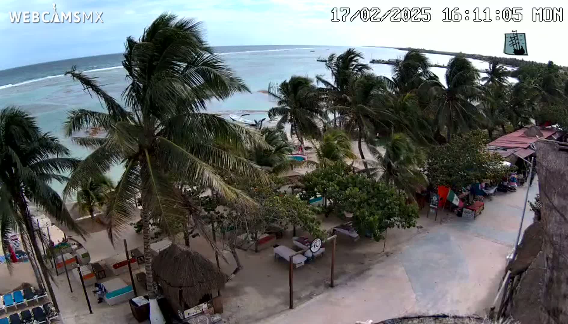 A windy beach scene shows palm trees swaying in the breeze, overlooking a sandy shoreline with beach chairs, small huts, and a calm ocean.
