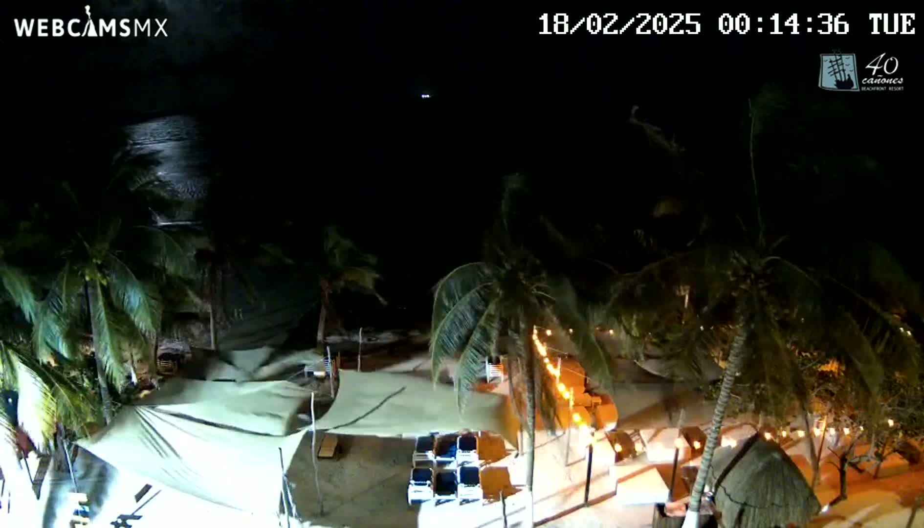 A nighttime beach scene with palm trees, beach umbrellas, and string lights illuminated against a dark ocean under a clear sky.