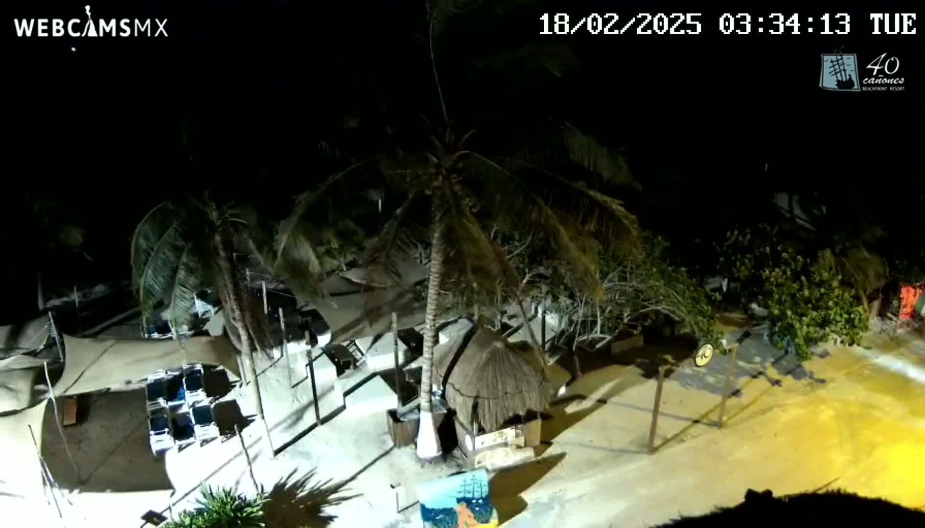 A nighttime, overhead view of a beach area showing palm trees, beach chairs, a thatched roof structure, and sand.
