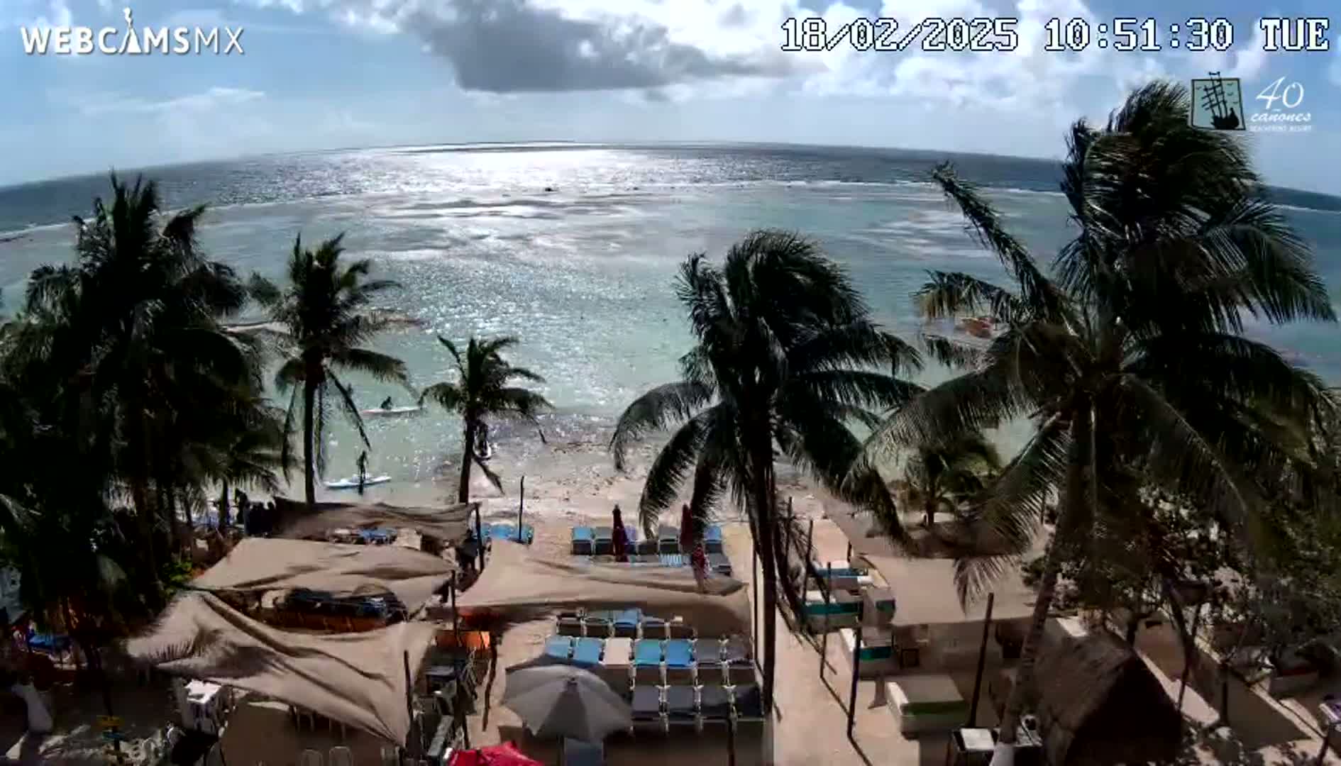 A beach scene with palm trees, beach chairs, and people on a partly sunny day shows a calm ocean with some people in the water.