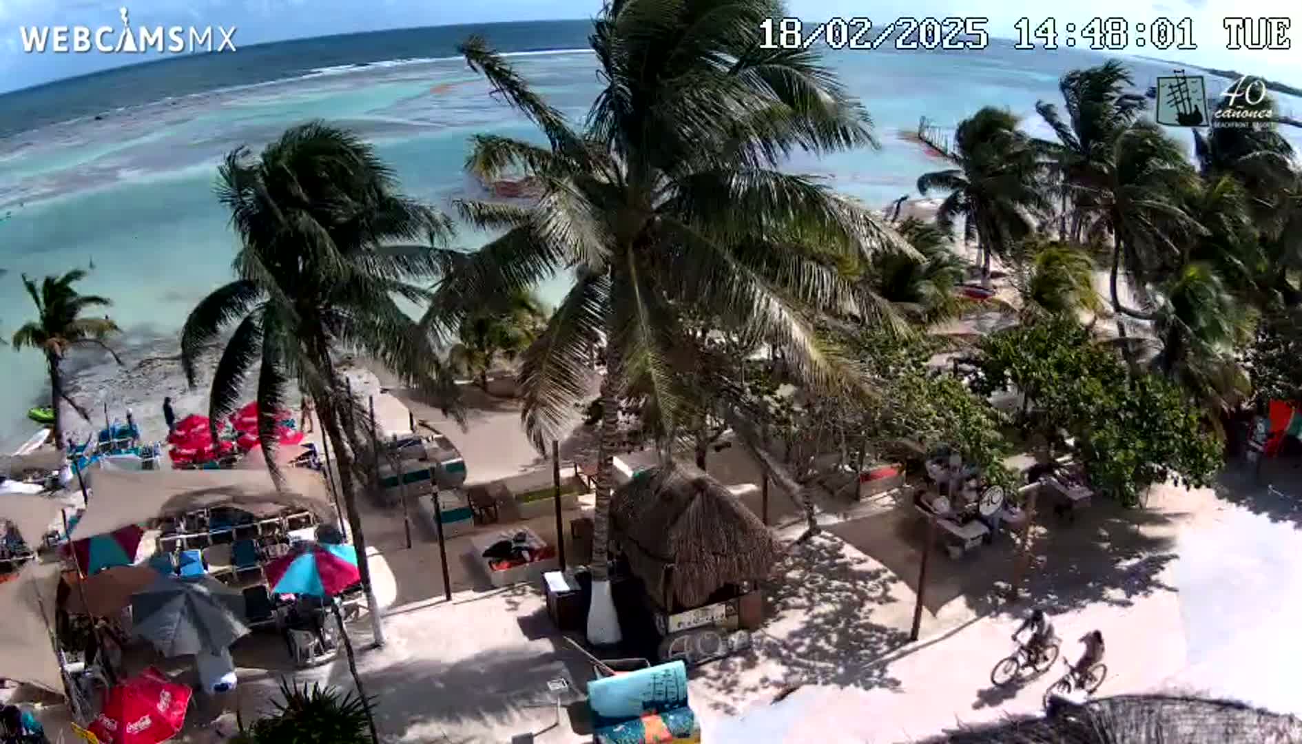 A beachside restaurant and bar area with palm trees, beach umbrellas, and people sitting at tables, with two bicyclists on a path nearby, and a partly sunny day with a calm ocean.