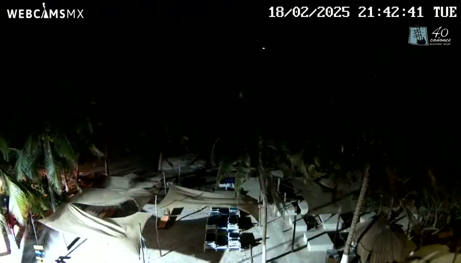 A nighttime, overhead view of a beach area with palm trees, covered lounge chairs, and several shaded structures under a clear, dark sky.
