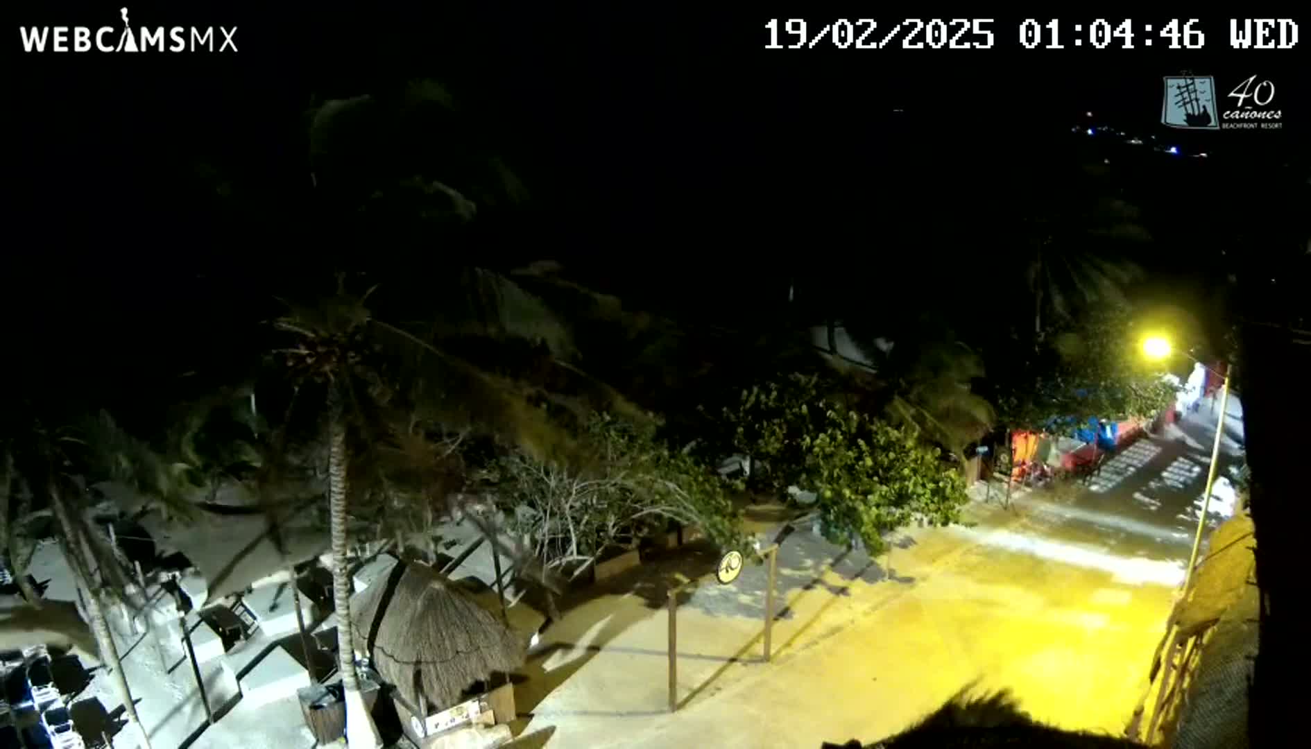 A nighttime, high-angle view shows a beachside area with palm trees, buildings, and a street, illuminated by artificial light.