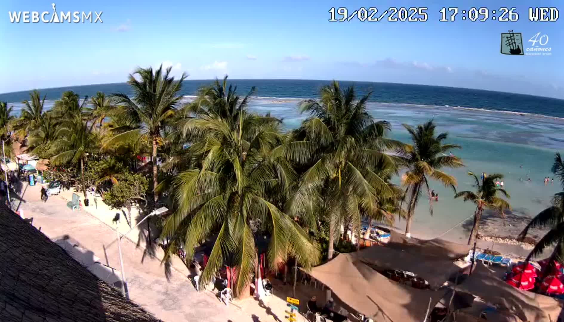 A sunny beach scene shows a clear ocean with shallow turquoise water near the shore, lined with palm trees and beach umbrellas, and people enjoying the beach.