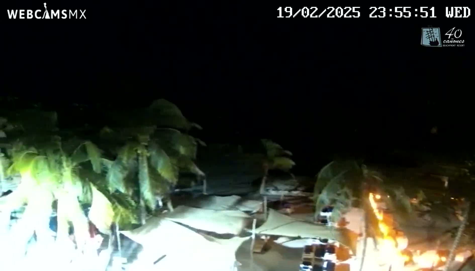 A nighttime aerial view shows palm trees swaying in the wind near a beachfront area with illuminated structures.