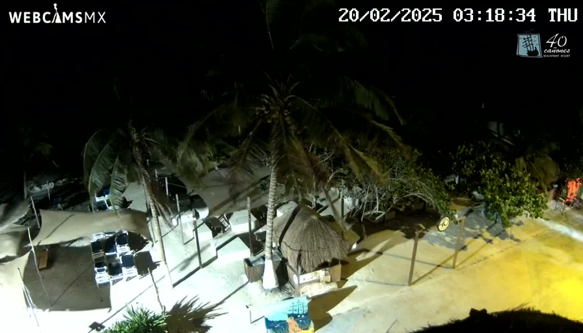 A nighttime aerial view of a beach area shows palm trees, beach chairs under a canopy, a thatched-roof hut, and some buildings under a clear, dark sky.