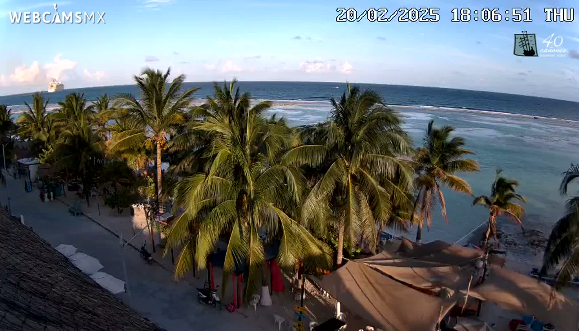 An elevated view shows a tropical beach scene with palm trees lining a paved walkway near the ocean under a mostly sunny sky.
