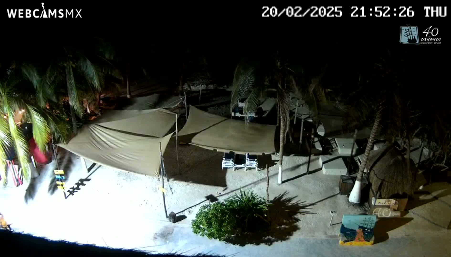A nighttime view of a beach area with palm trees, tan shade structures, and lounge chairs under artificial light.