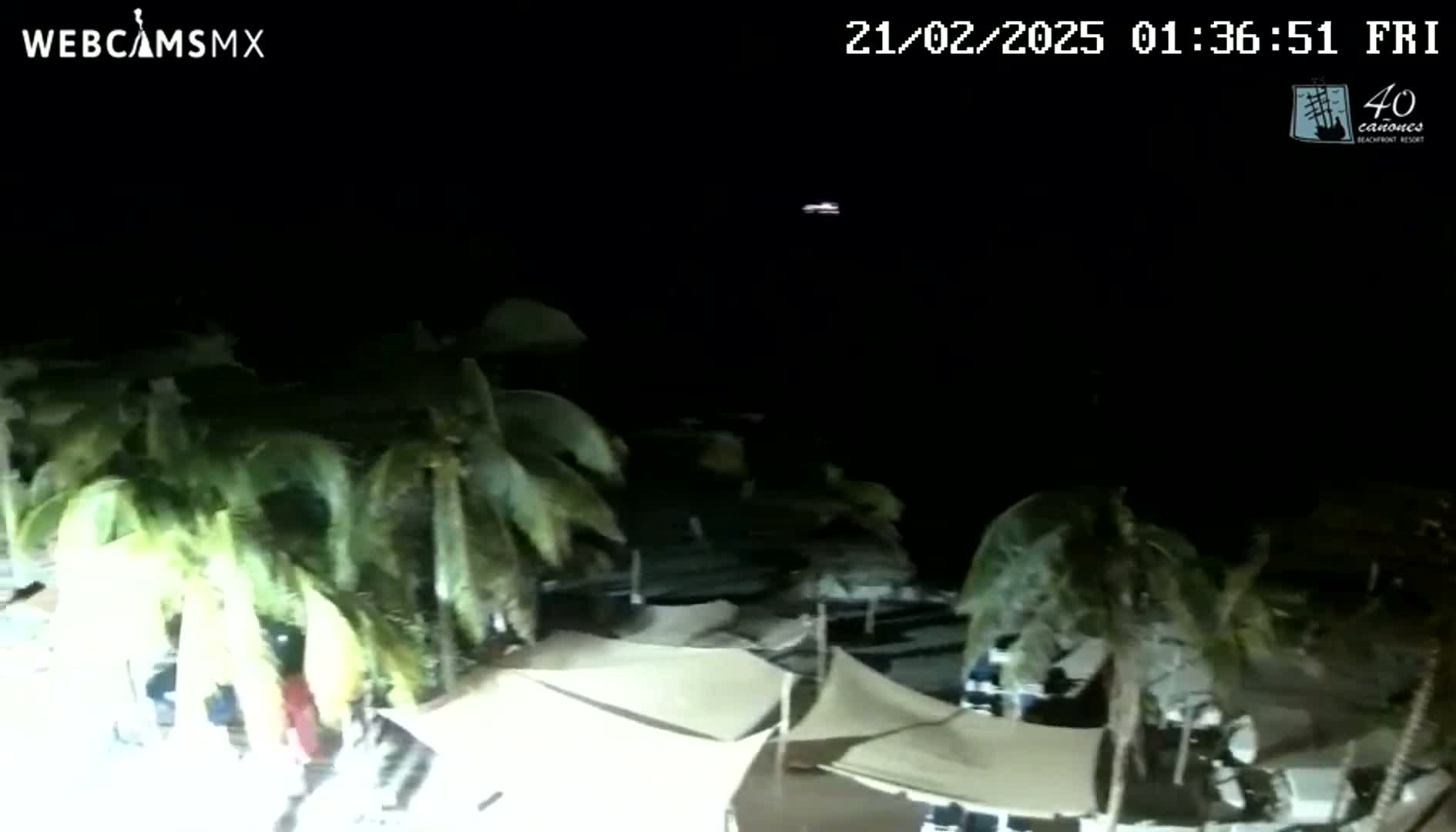 A nighttime, outdoor scene shows palm trees swaying in the wind near several light-colored tents and structures.