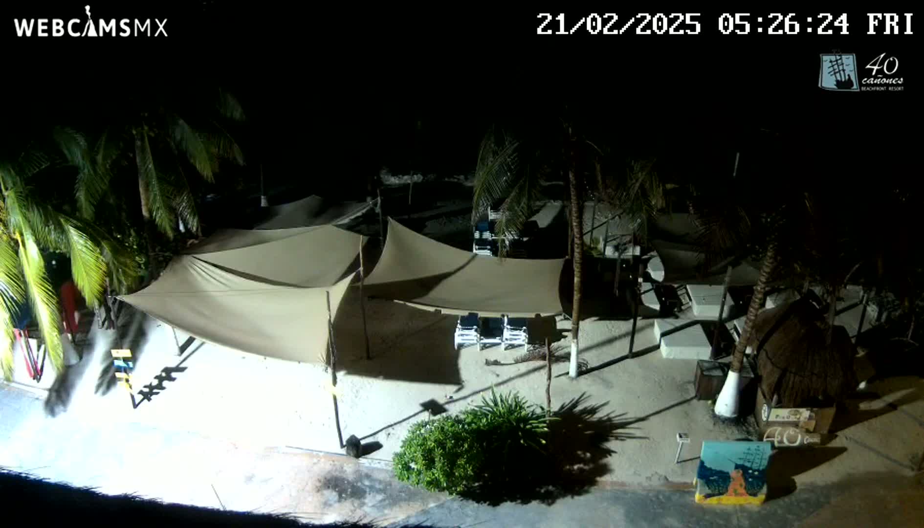 A nighttime beach scene shows several tan canopies and lounge chairs under palm trees on a sandy area.