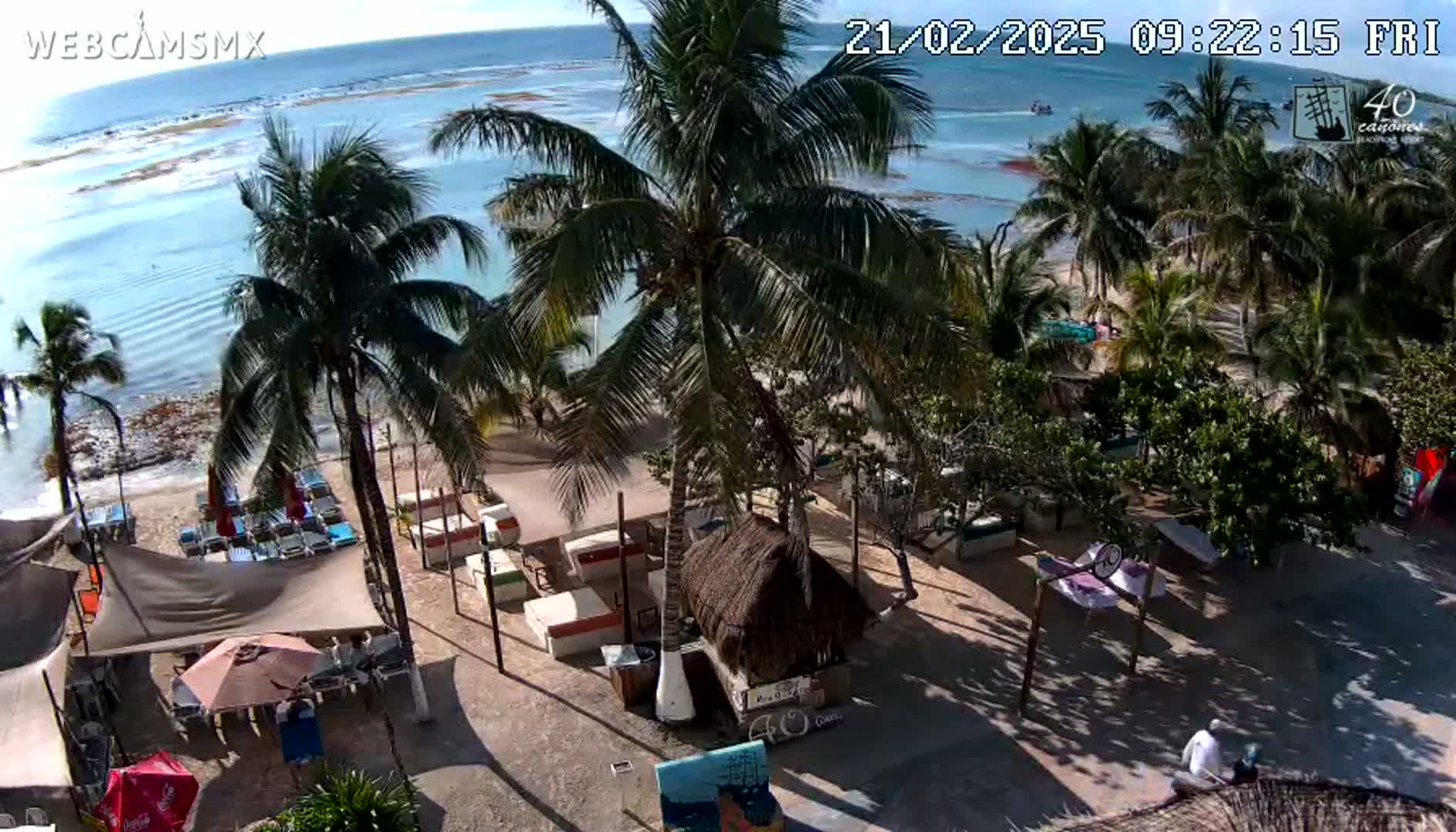 A beach scene on a sunny day shows palm trees, beach umbrellas, lounge chairs, and a thatched-roof hut near the ocean.