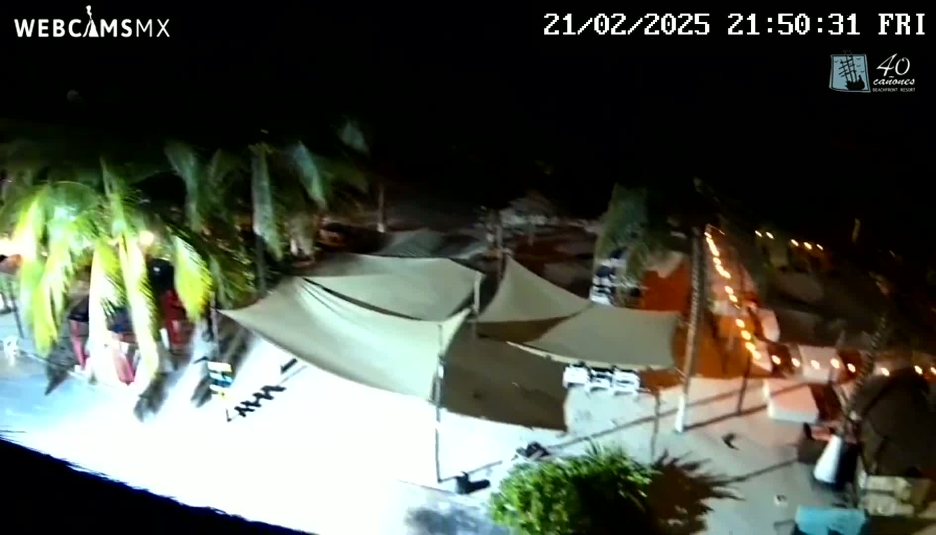 An outdoor nighttime scene shows several beige canopies and string lights illuminating a patio area surrounded by palm trees.