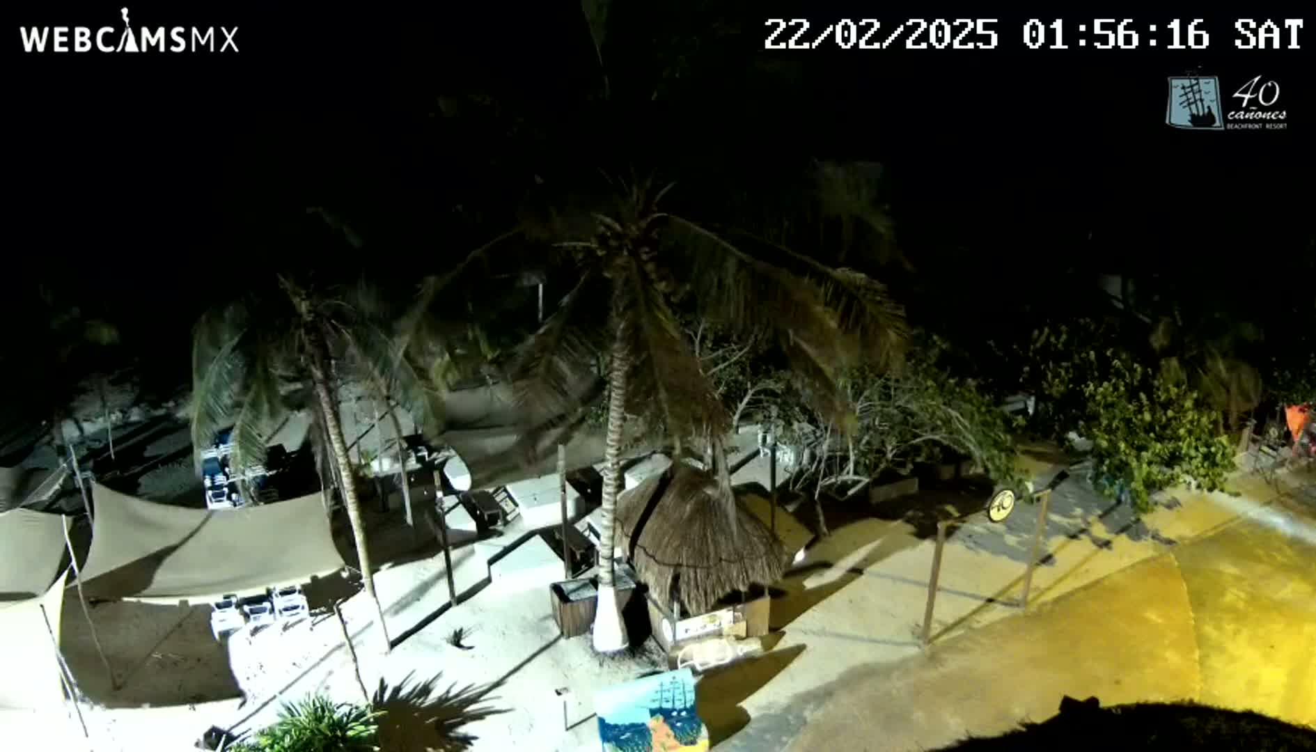 A nighttime aerial view of a beachside area with palm trees, outdoor furniture, and a thatched-roof hut under a clear, dark sky.