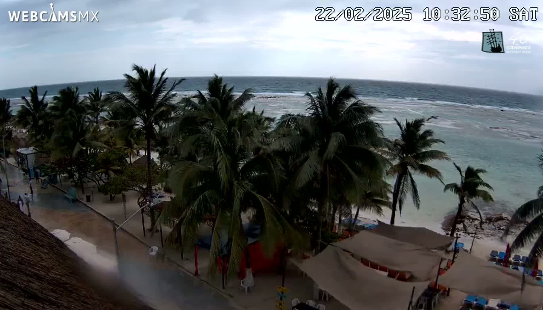 A beachside street with palm trees and beach umbrellas is seen under an overcast sky, with a somewhat choppy ocean in the background.