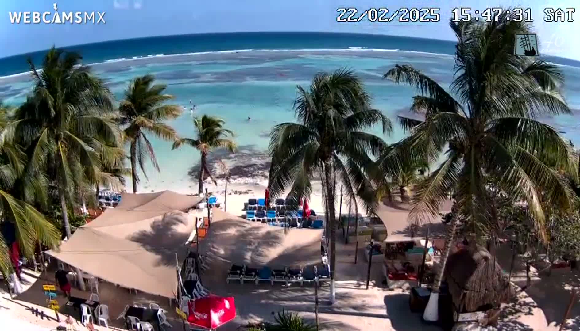 A beachside view shows a clear, light-blue ocean under a sunny sky, with palm trees and beach umbrellas shading lounge chairs on a sandy shore.