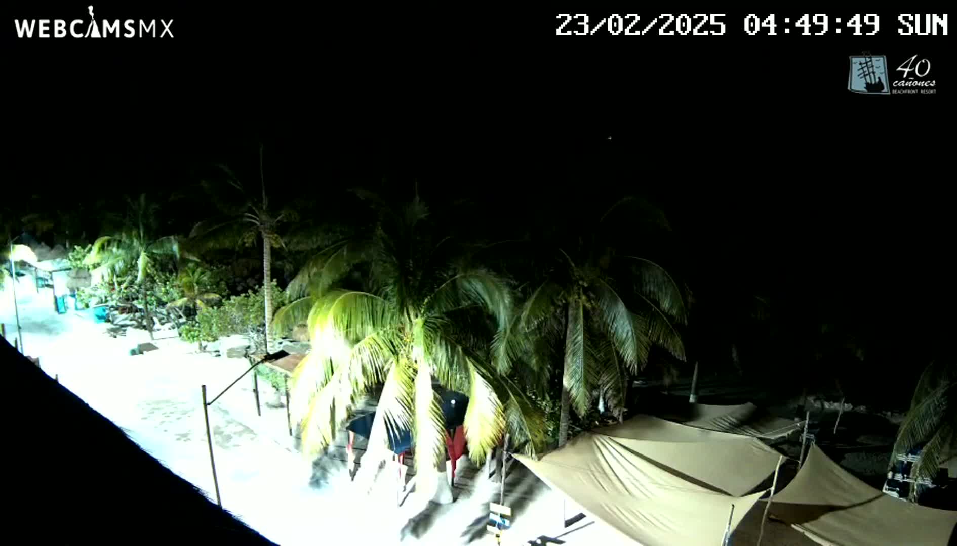 A nighttime aerial view shows a beach area with palm trees and several light-colored canopies under a clear, dark sky.
