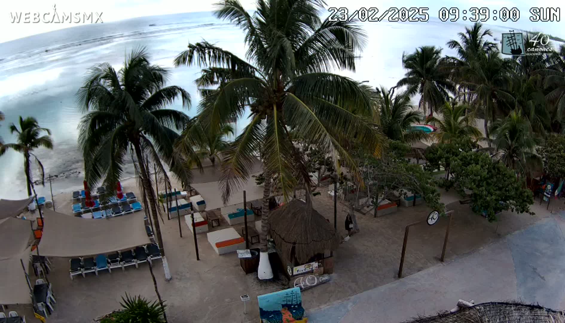 A beachside area with palm trees, lounge chairs under canopies, and a thatched-roof hut, overlooking a calm ocean under an overcast sky.