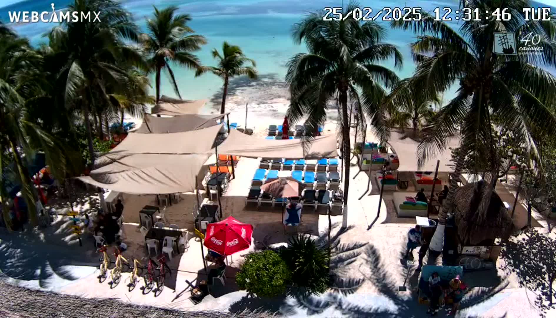 An aerial view of a beachside bar and restaurant with lounge chairs and umbrellas under a sunny sky, featuring palm trees and turquoise water in the background.