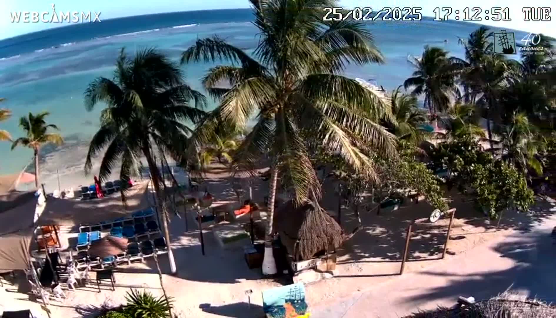 An aerial view shows a sunny beachside resort with palm trees, beach chairs, and a thatched-roof structure, overlooking a calm turquoise ocean.