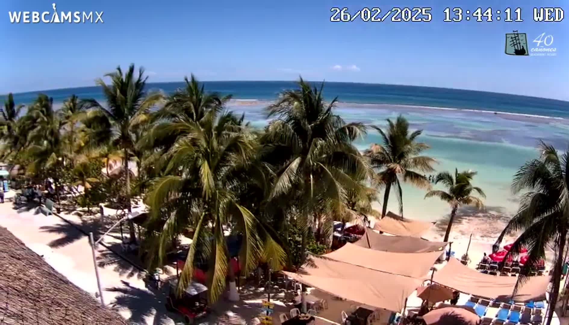 A beach scene on a sunny day shows palm trees, beach umbrellas, and lounge chairs near turquoise water.
