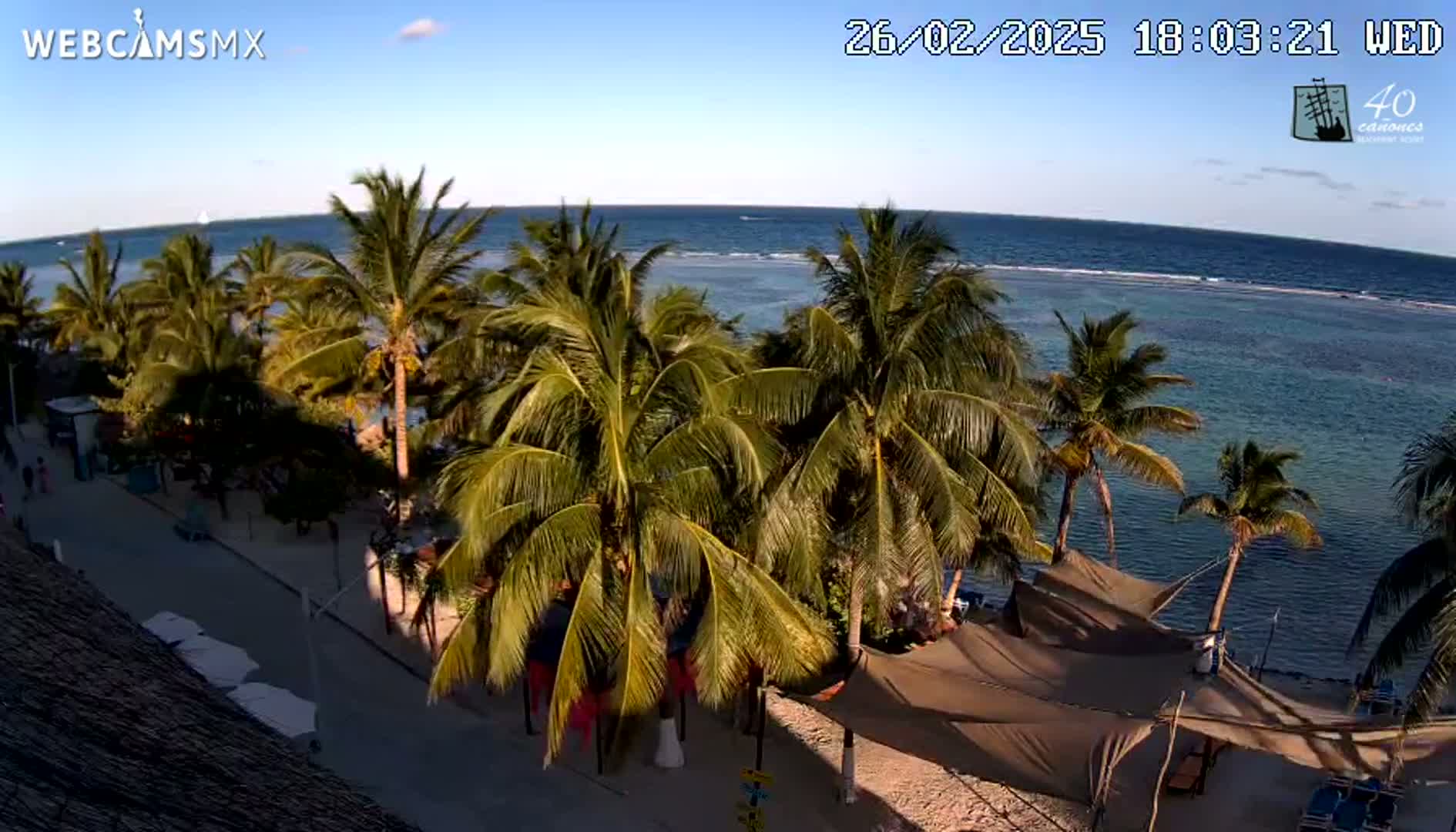 A beachside view shows palm trees lining a sandy path leading to a calm ocean under a clear, sunny sky.