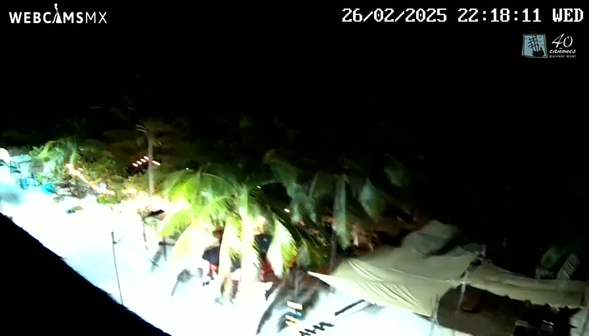 A nighttime aerial view shows palm trees swaying in the wind near a beach with some structures and lights.