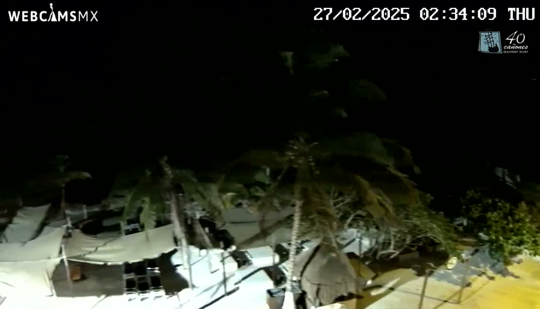 An outdoor nighttime scene shows palm trees surrounding structures with white canopies under a dark, possibly windy sky.