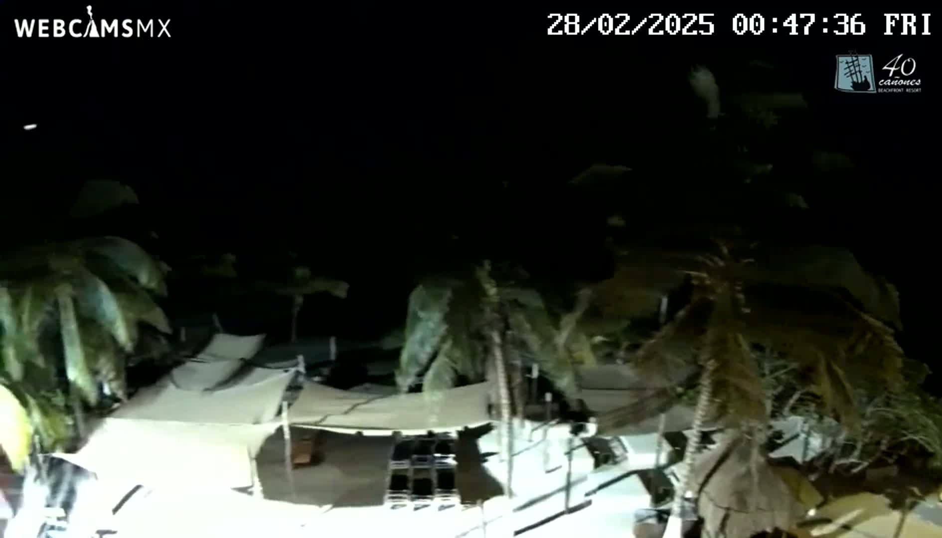 A nighttime view shows palm trees swaying in the wind near a beachfront area with white canopies and other structures.