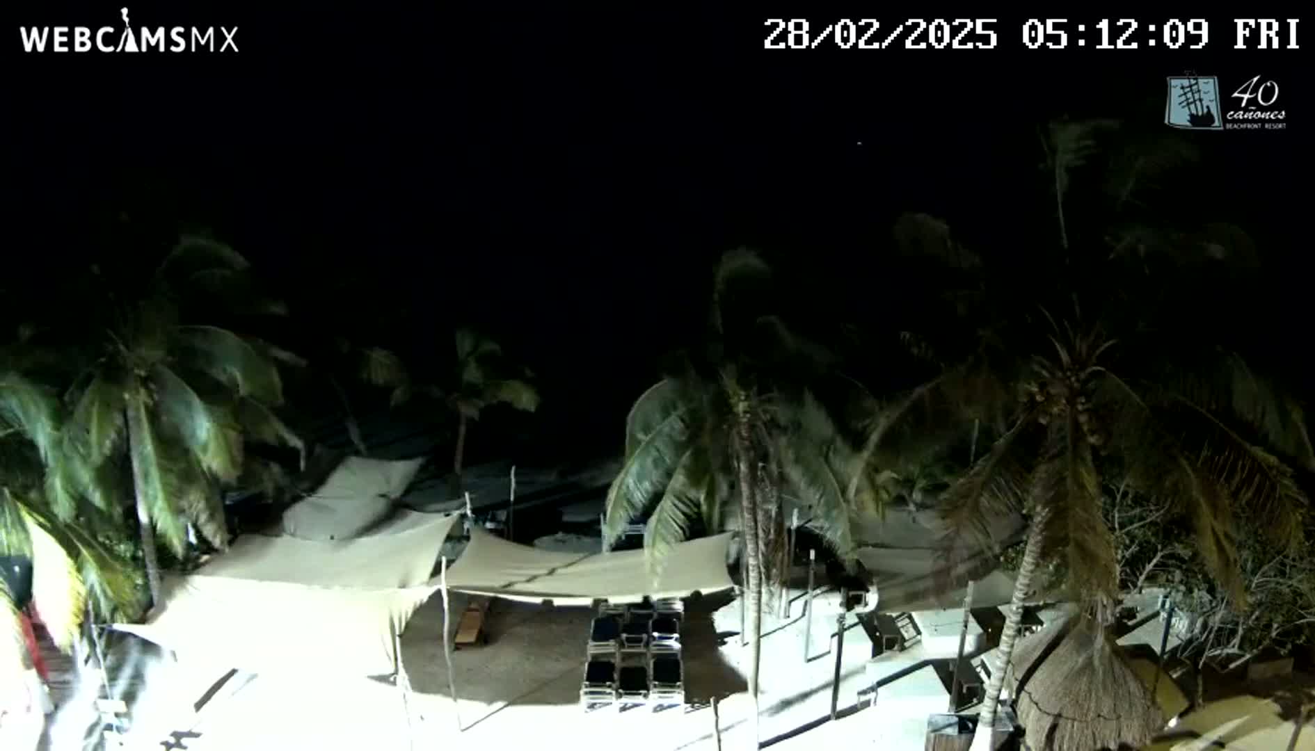 A nighttime beach scene shows palm trees swaying in the breeze under a dark sky, with beach furniture and white canopies illuminated under artificial lights.