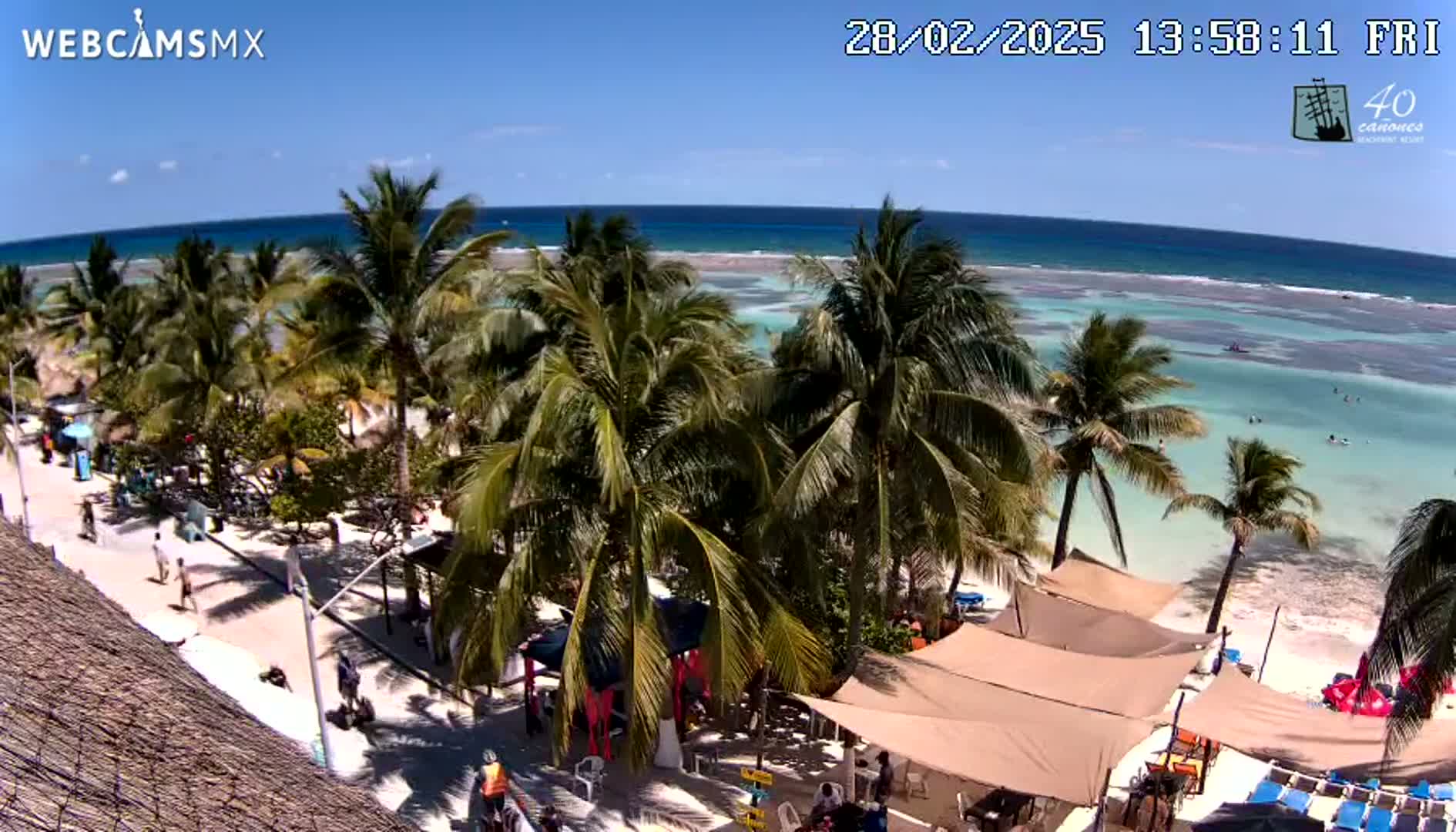 An aerial view shows a beach scene with palm trees, beach umbrellas, and people on a sunny day.