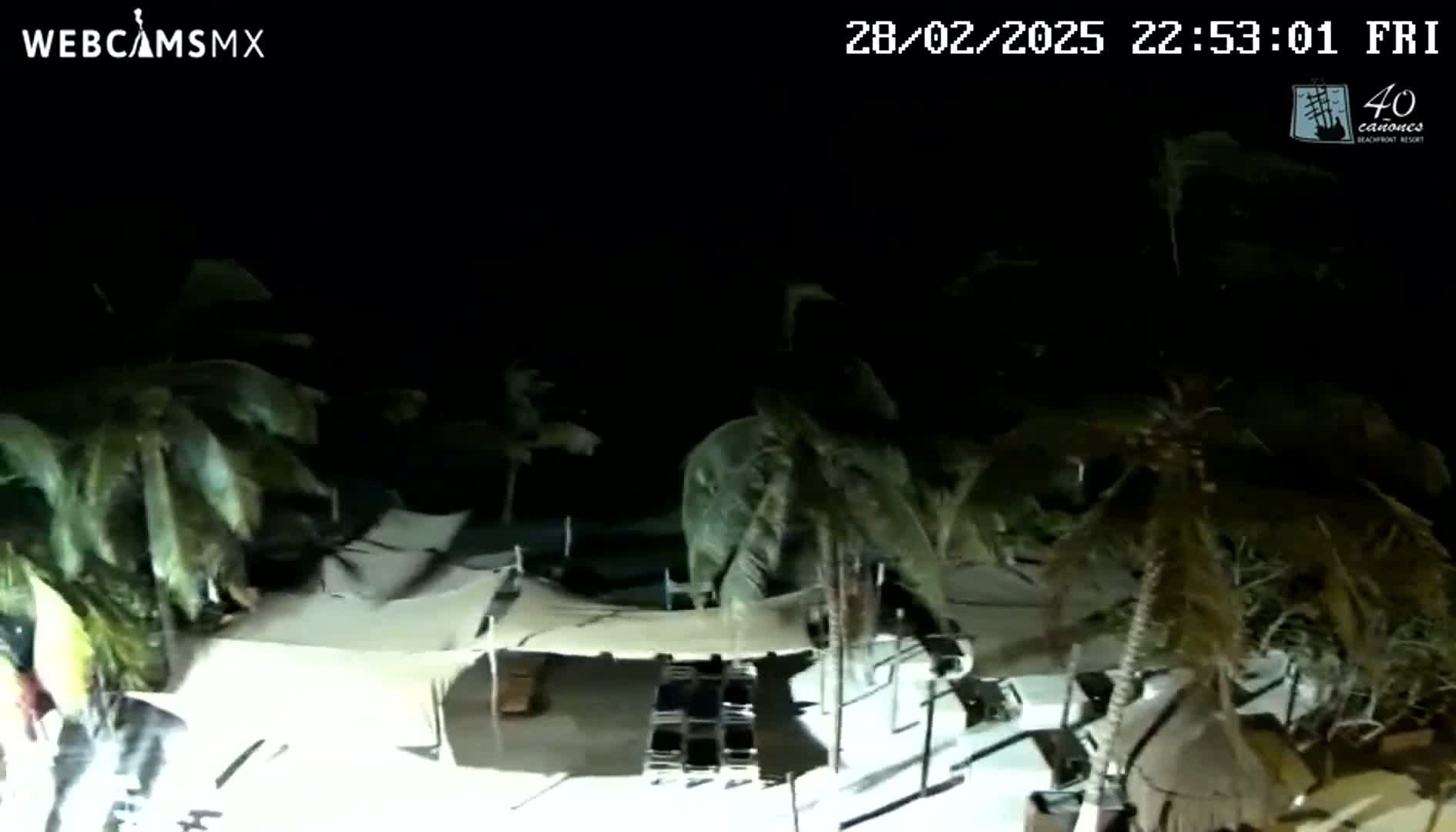 A nighttime aerial view shows a beachside area with palm trees swaying in the wind,  illuminated structures, and what appears to be outdoor furniture.