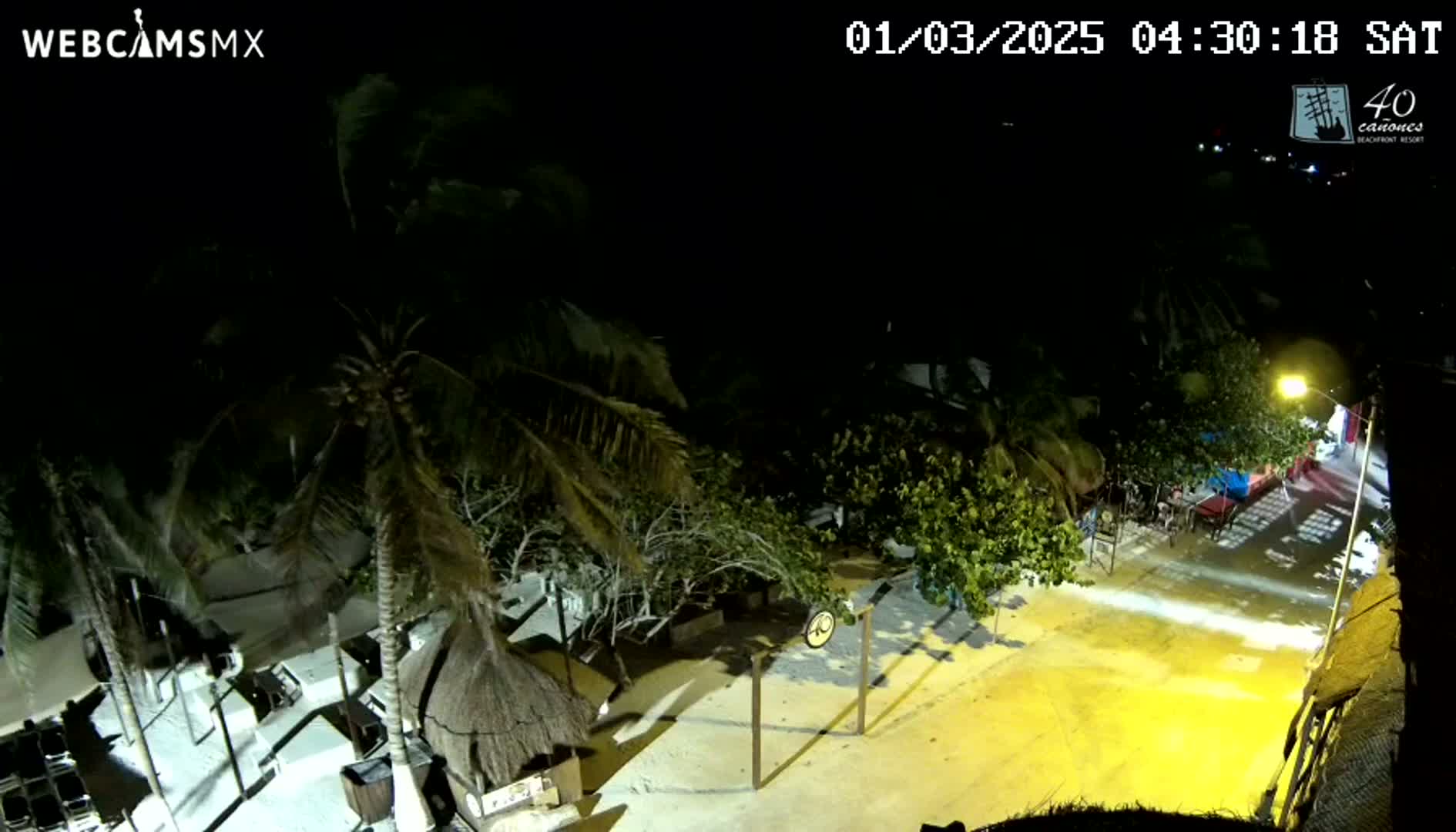 A nighttime aerial view of a beachfront area with palm trees and some structures, under windy conditions.