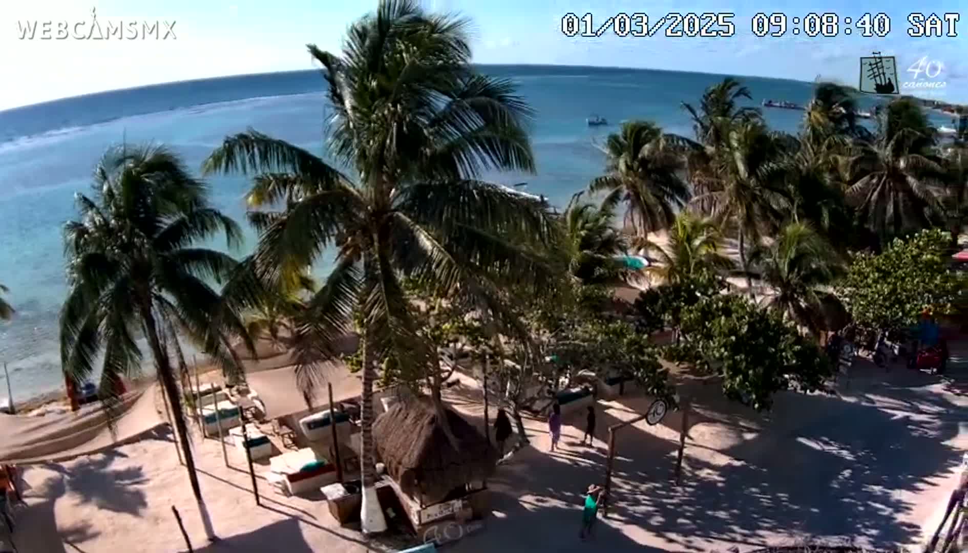 A sunny day at a beachside location shows palm trees, sandy areas, and small structures near the water's edge.