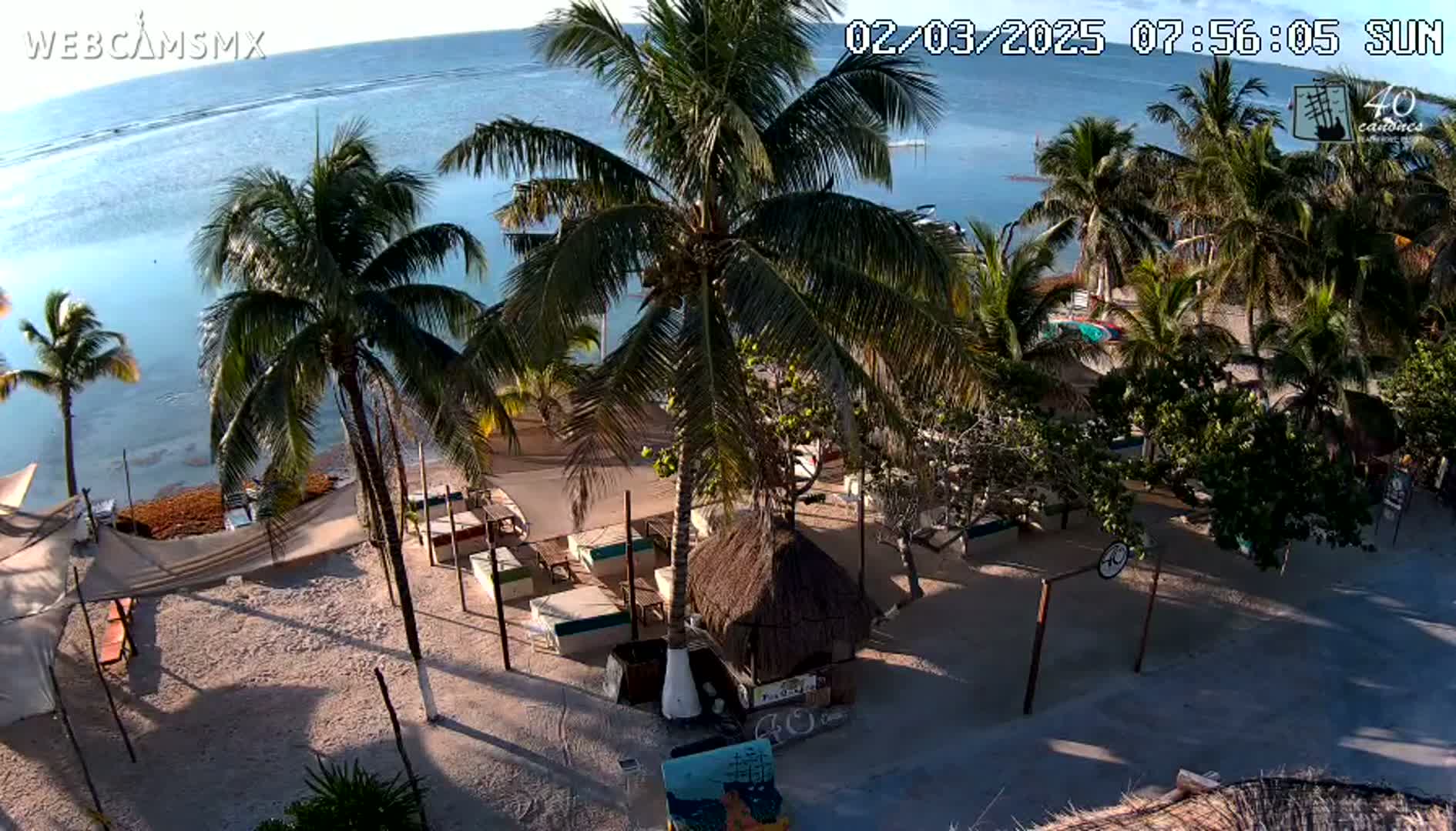 An aerial view of a beachside area with palm trees, outdoor furniture, and a thatched-roof structure under sunny skies.
