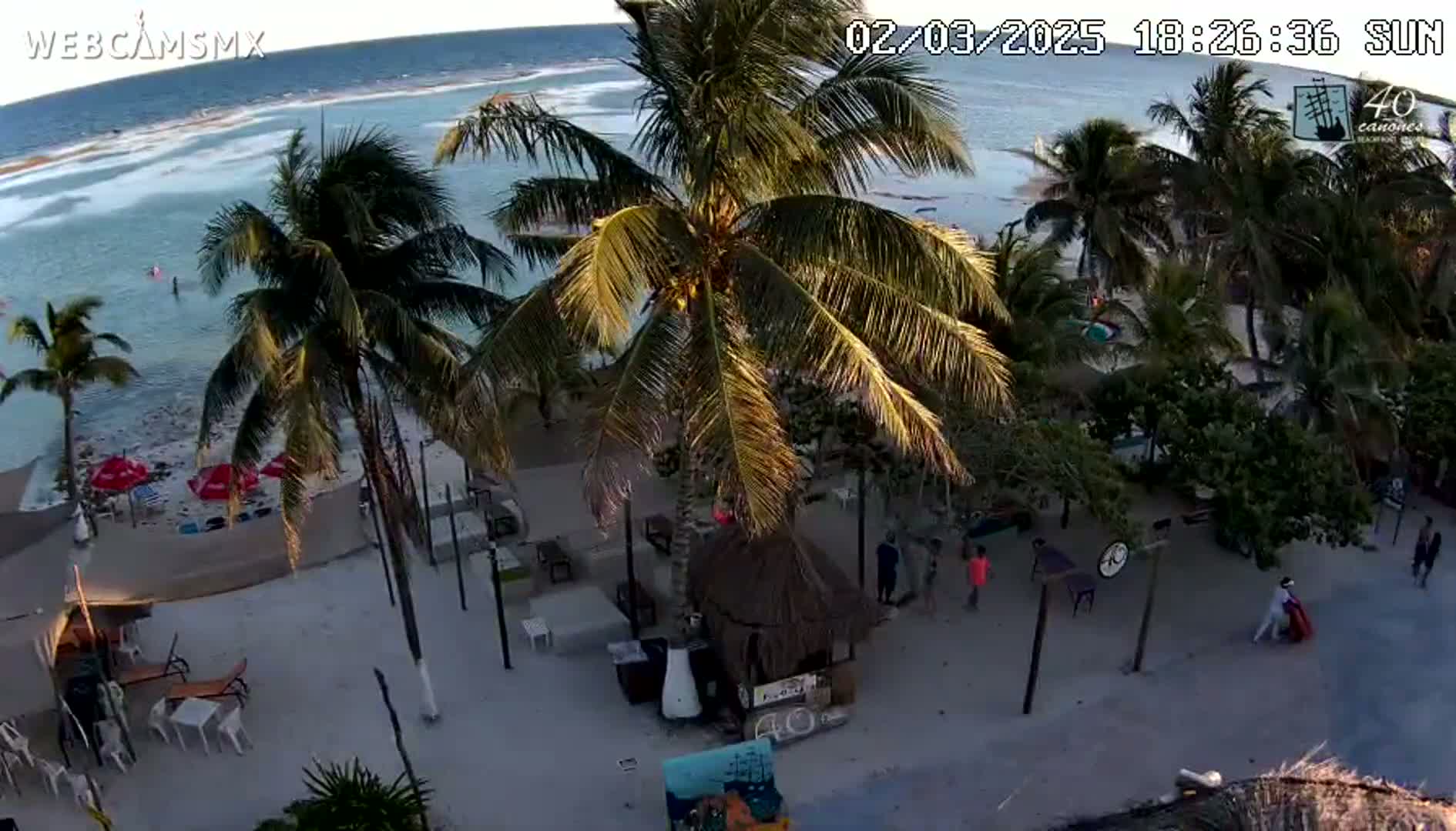 An aerial view of a beachside area with palm trees, outdoor seating, and a few people walking around on a sunny day.