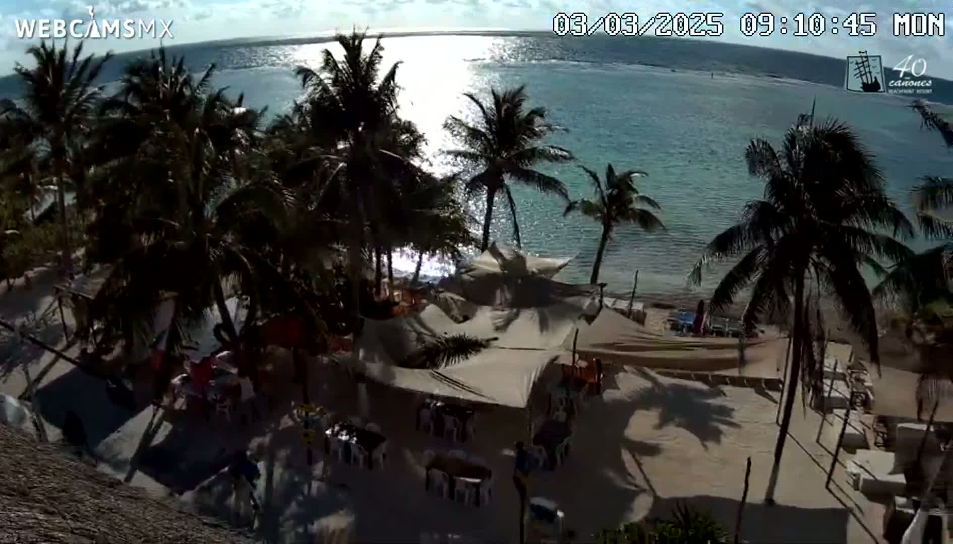 A sunny beach scene shows a calm, clear ocean, palm trees, and outdoor seating under beige canopies.