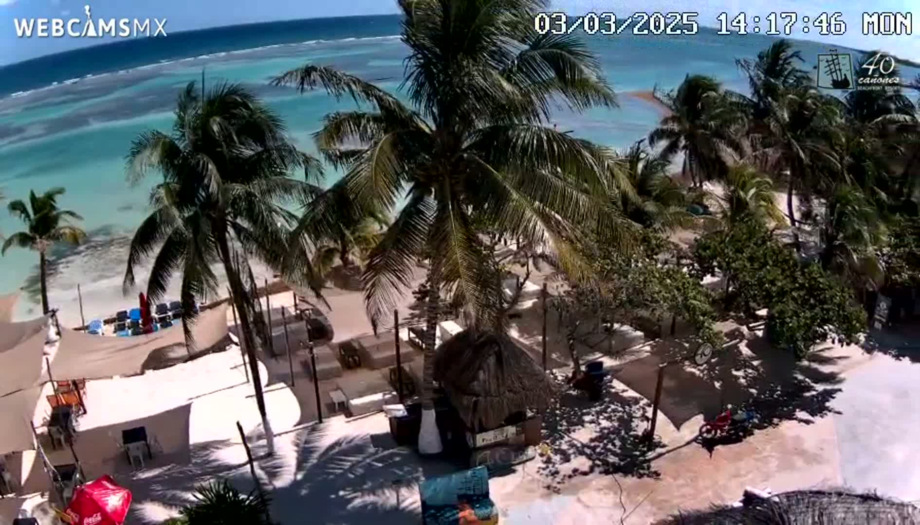 An aerial view of a beachside resort on a sunny day shows palm trees, beach chairs, and light-colored buildings near a calm, turquoise ocean.
