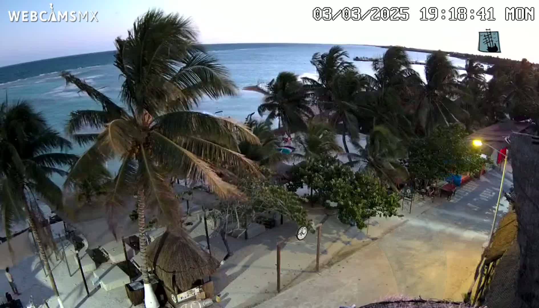 An elevated view of a beachside area with palm trees swaying in the wind at dusk, overlooking a calm ocean with small waves.