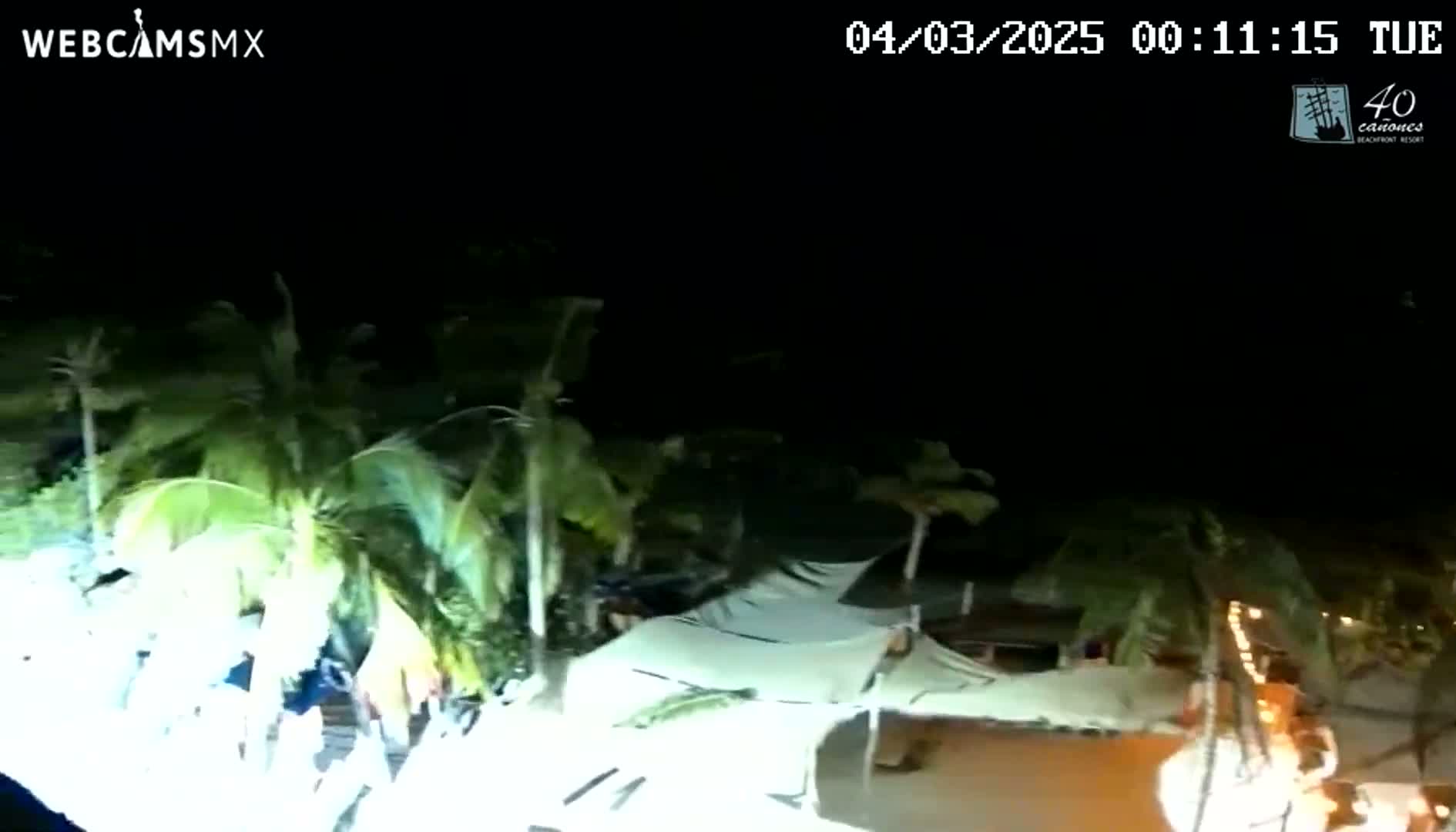 A nighttime overhead view shows palm trees swaying gently in the breeze near brightly lit structures.