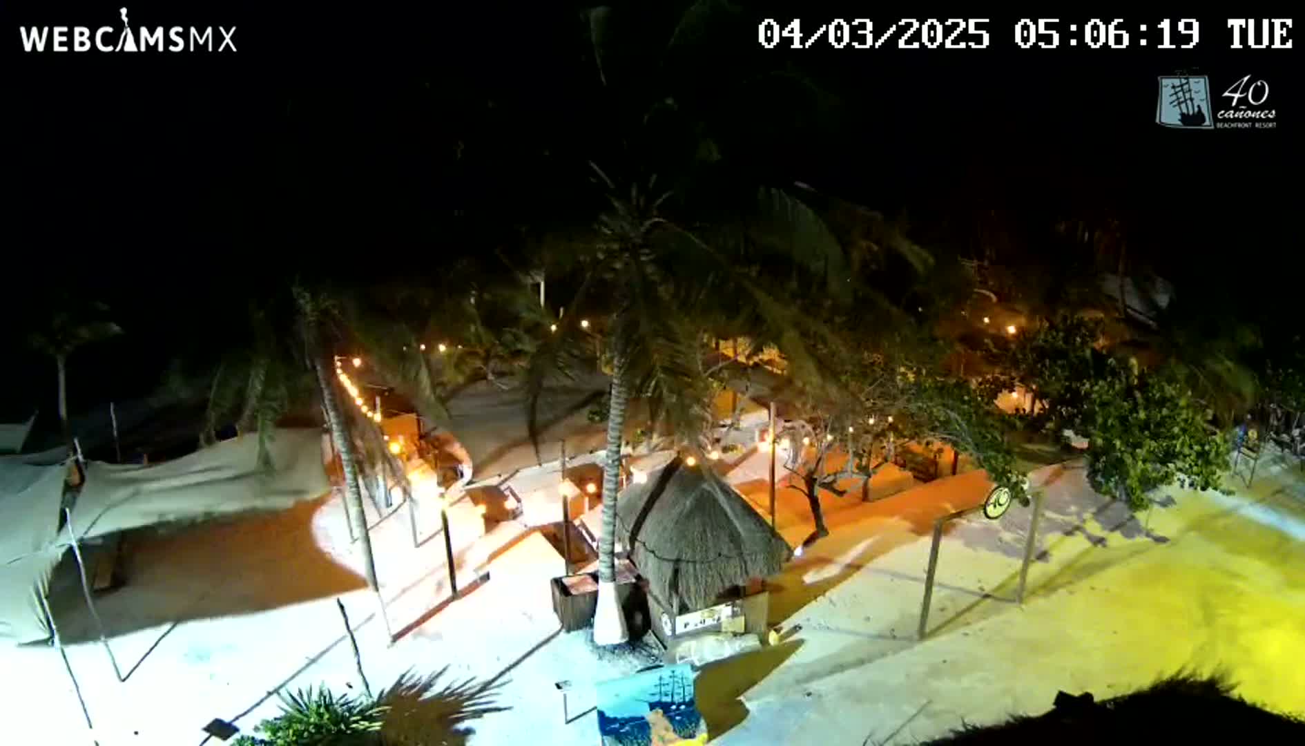 An illuminated beach at night, showing palm trees, beach structures, and a sandy area.
