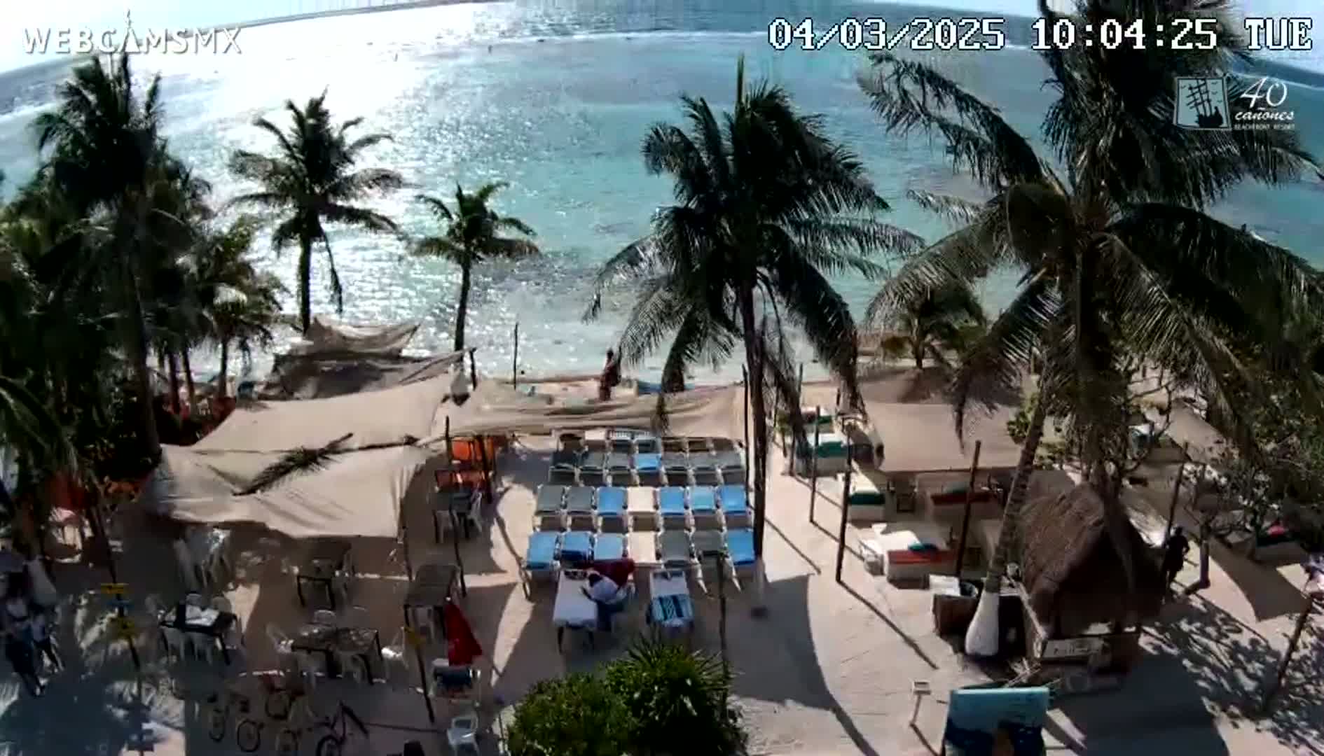 A beachside restaurant with lounge chairs and palm trees overlooks a calm, sunny ocean.