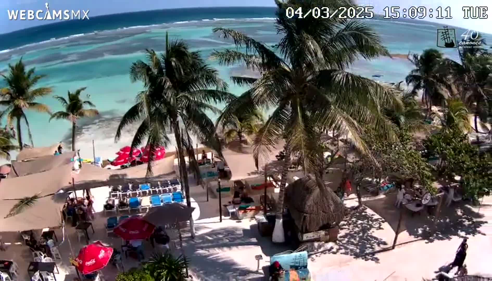 A beachside resort area with palm trees, beach umbrellas, lounge chairs, and people enjoying a sunny day by a calm, turquoise ocean.
